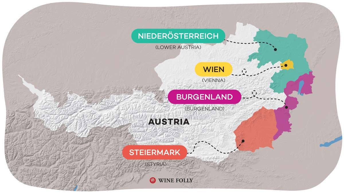 Vienna in the Vines