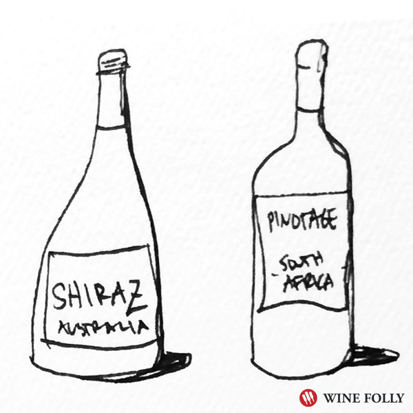 Pinotage and Shiraz goes well with Sausage Pizza - illustration Wine Folly