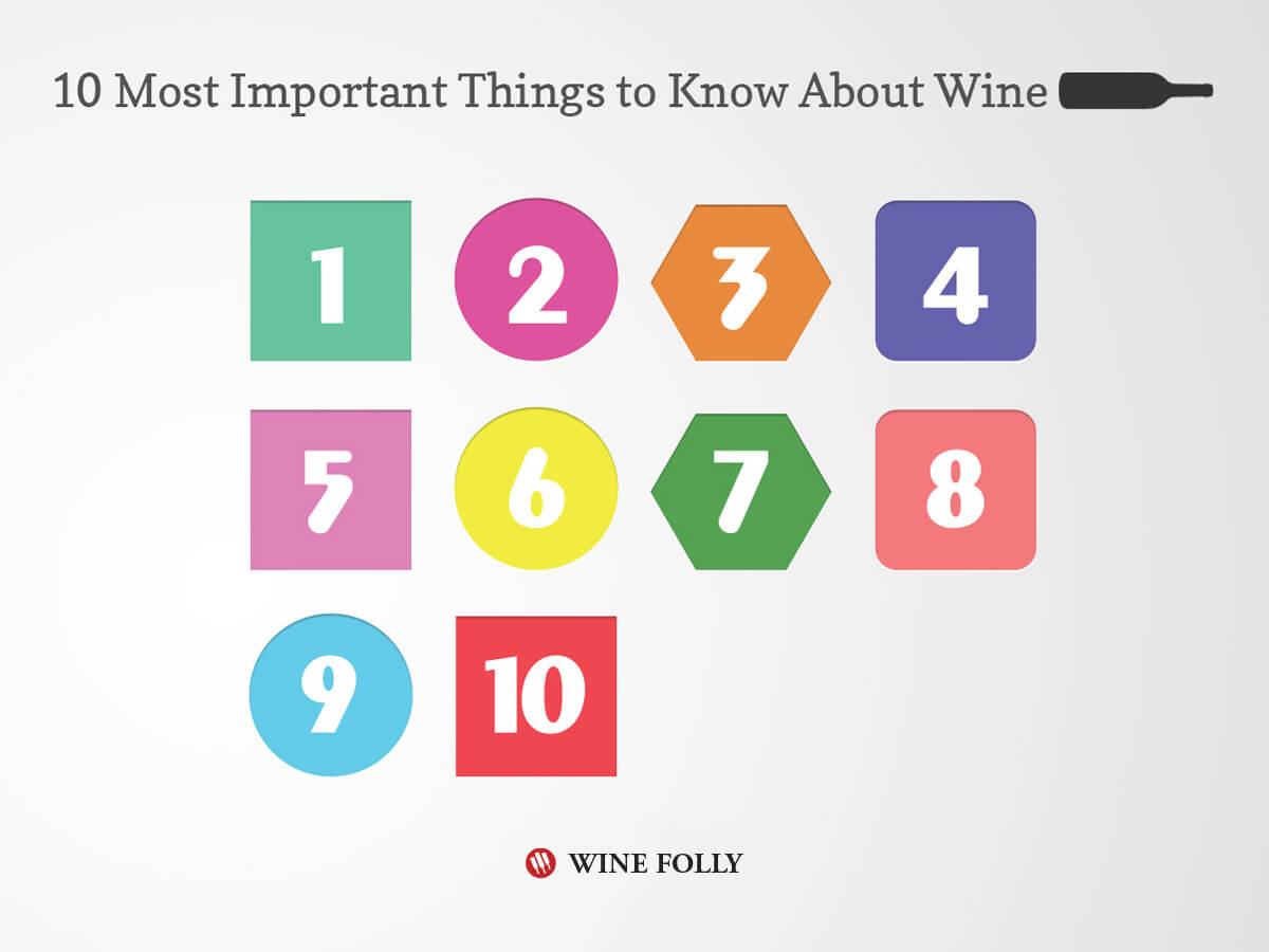 10 Things Harvest Interns Need - She Know Vino