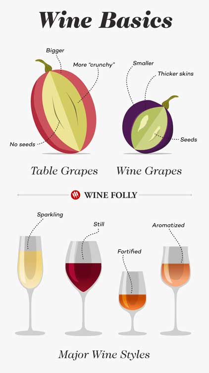 Wine Basics