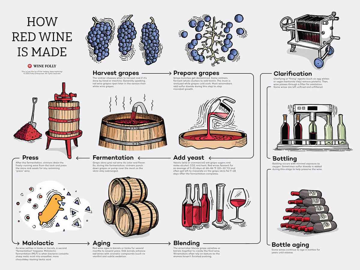 Pinot s Little Secret Wine Folly