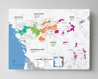 Middle Loire Valley Wine Grape Varieties by Wine Folly