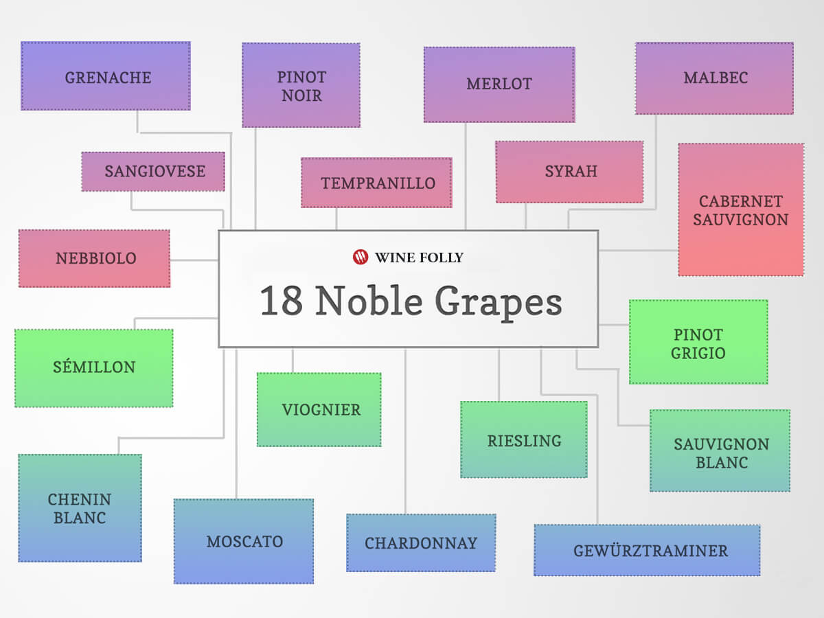 The 18 Noble Grapes Wine Challenge