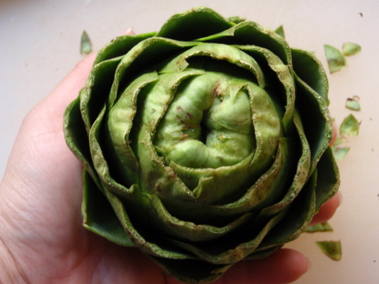 Pairing wine with Artichoke — look to Madeira