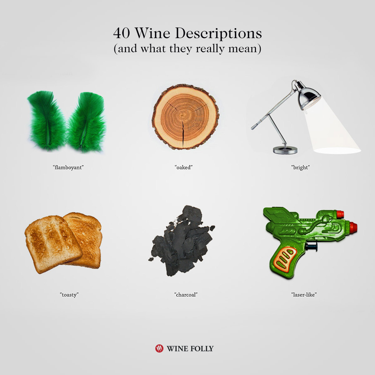 Wine Terms, Descriptions and what they really mean - by Wine Folly