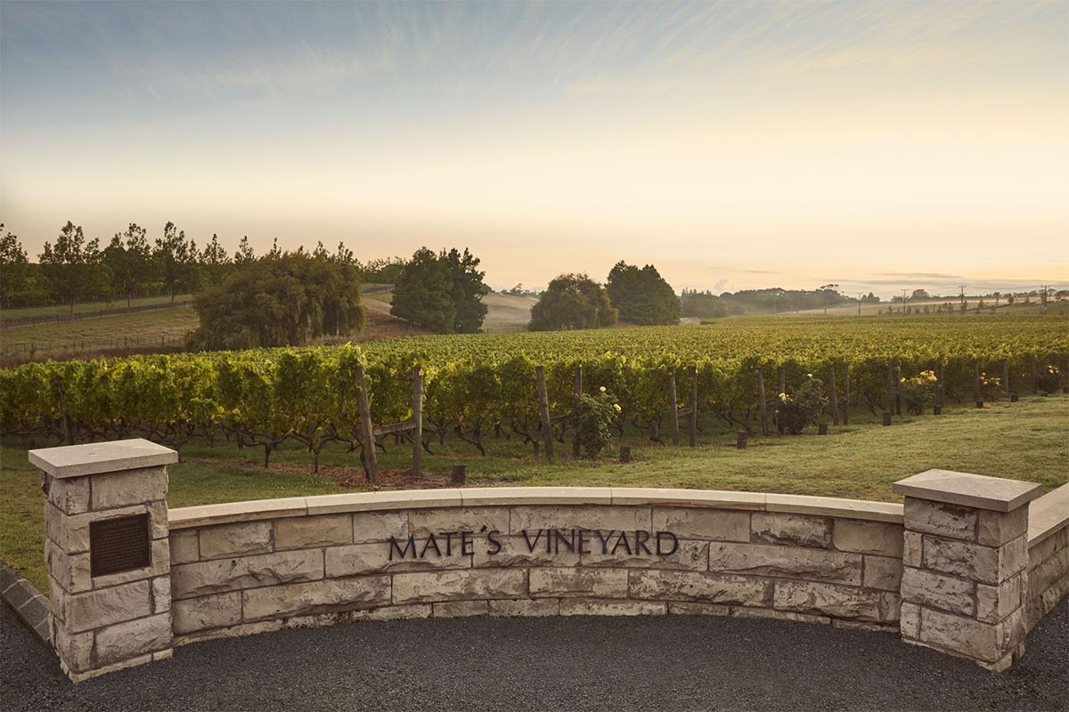 nz-mates-vineyard-auckland