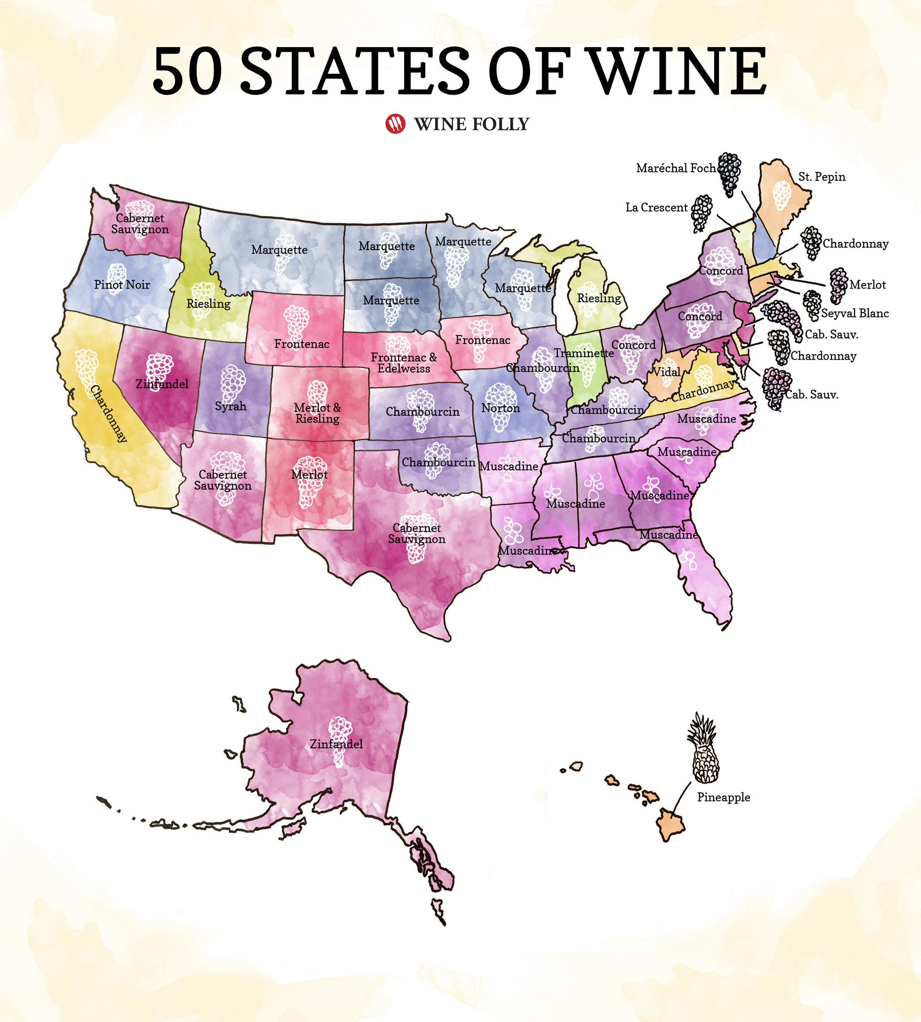 50statesofAmericanwine-WineFolly