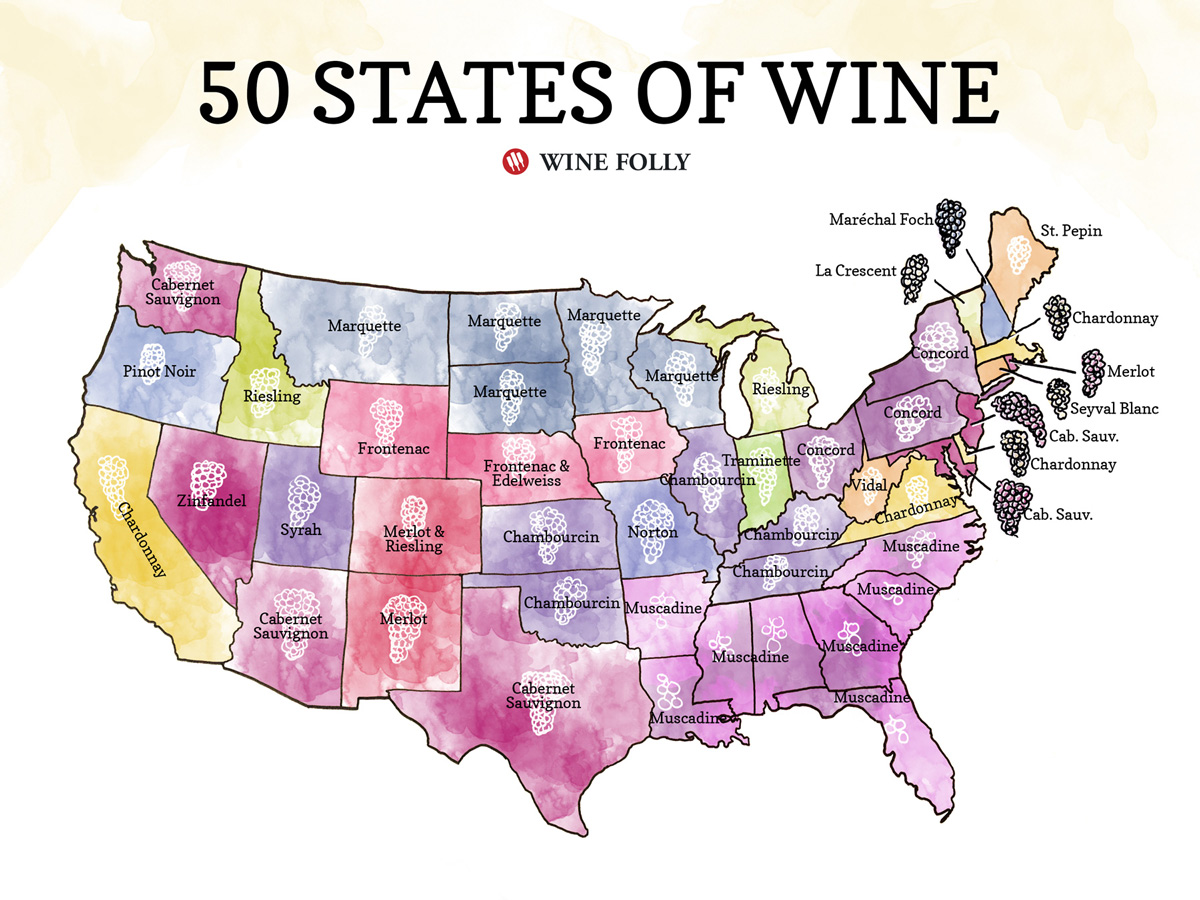 50 States of Wine (Map) Wine Folly