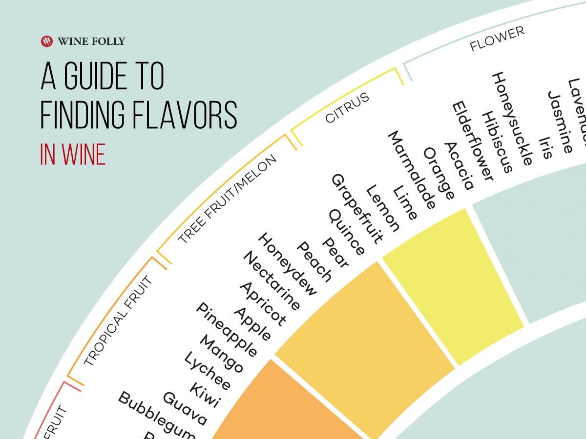 Flavor Profiles Of White Wines Infographic Wine Folly 0186