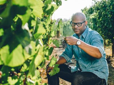 André Hueston Mack in Vineyards Photo by https://sashphot