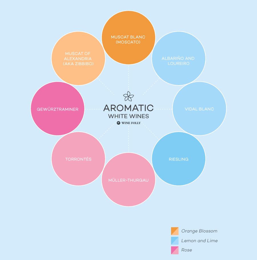 Aromatic White Wines by Wine Folly