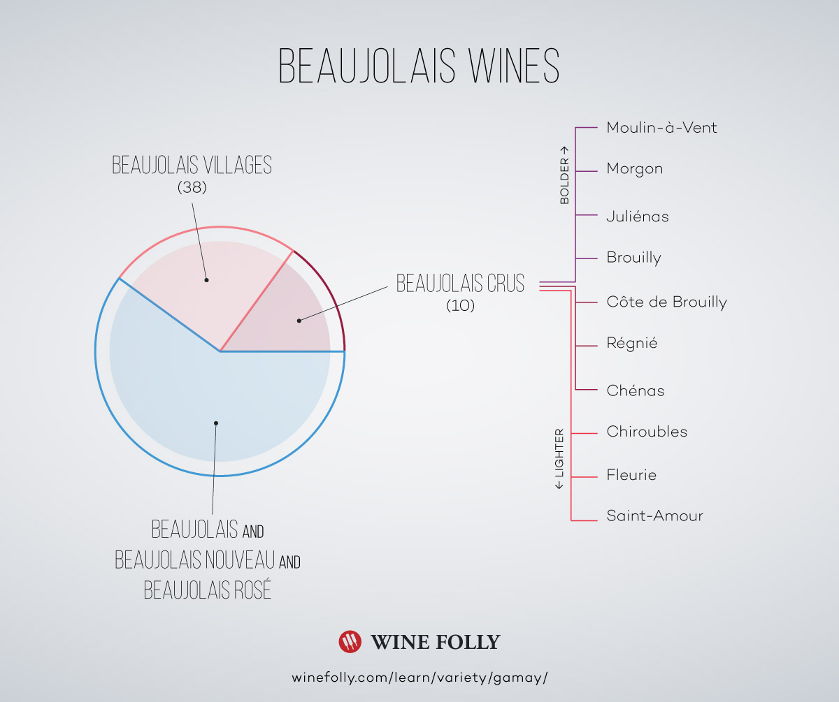 Infographie sur les vins du Beaujolais par Wine Folly