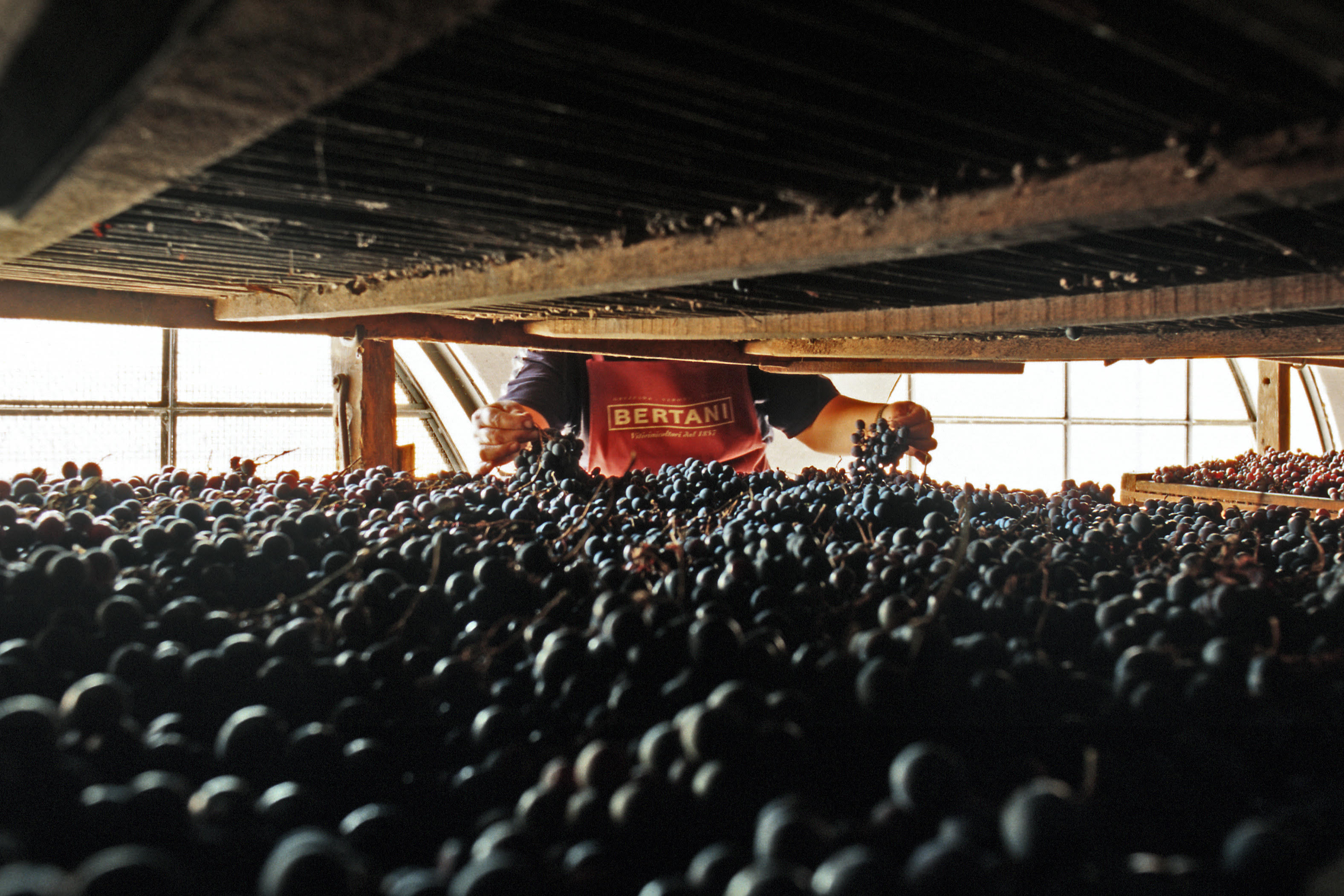 Bertani-drying-lofts-amarone-apassimento