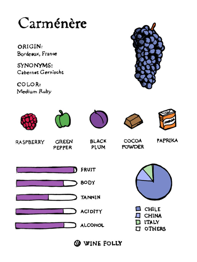 Featured Grape Carménère Wine Folly