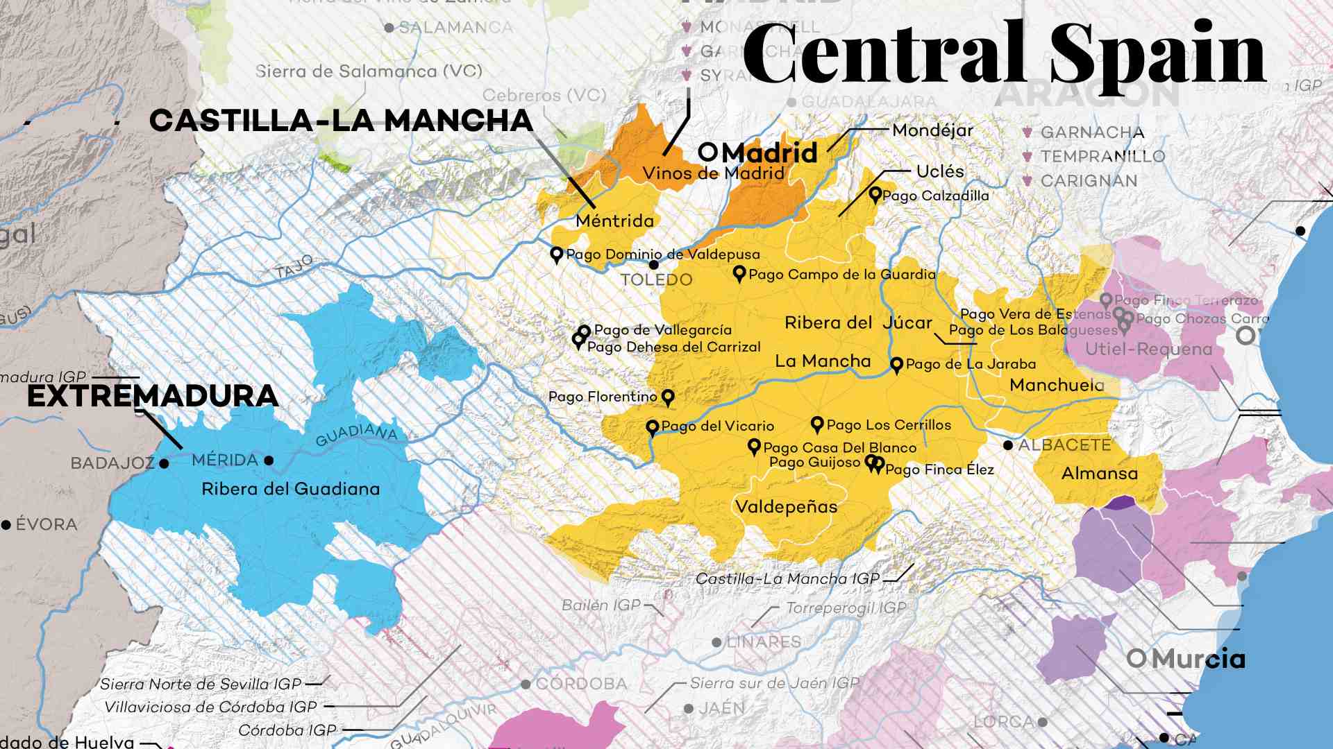 Spain’s Overlooked Wine Giant