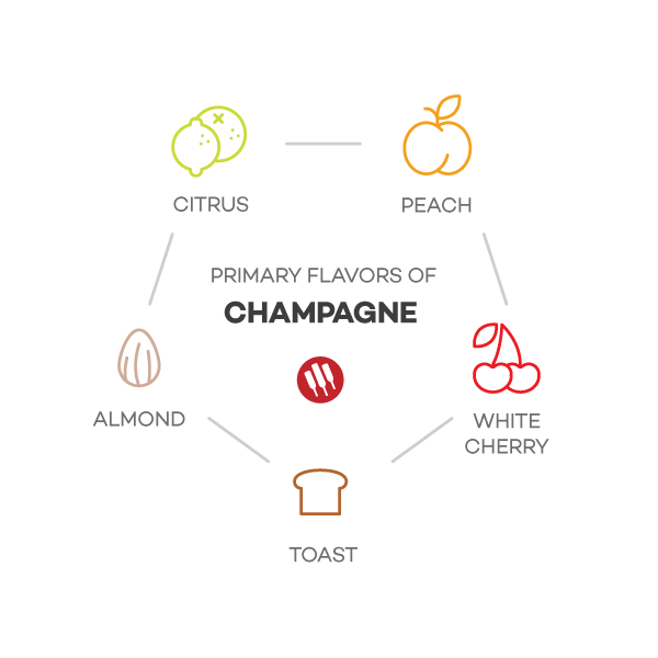 Notas de sabor de champán de Wine Folly