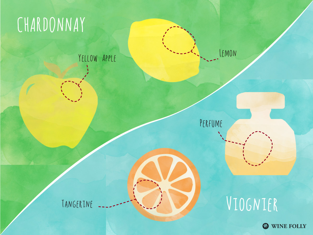 Chardonnay-vs-Viognier-taste-comparison