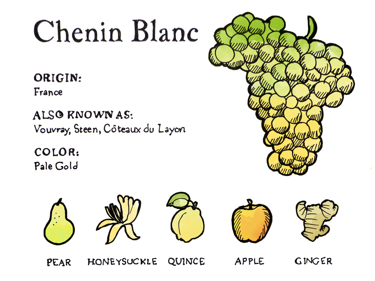 Say Hello To Chenin Blanc Wine Folly