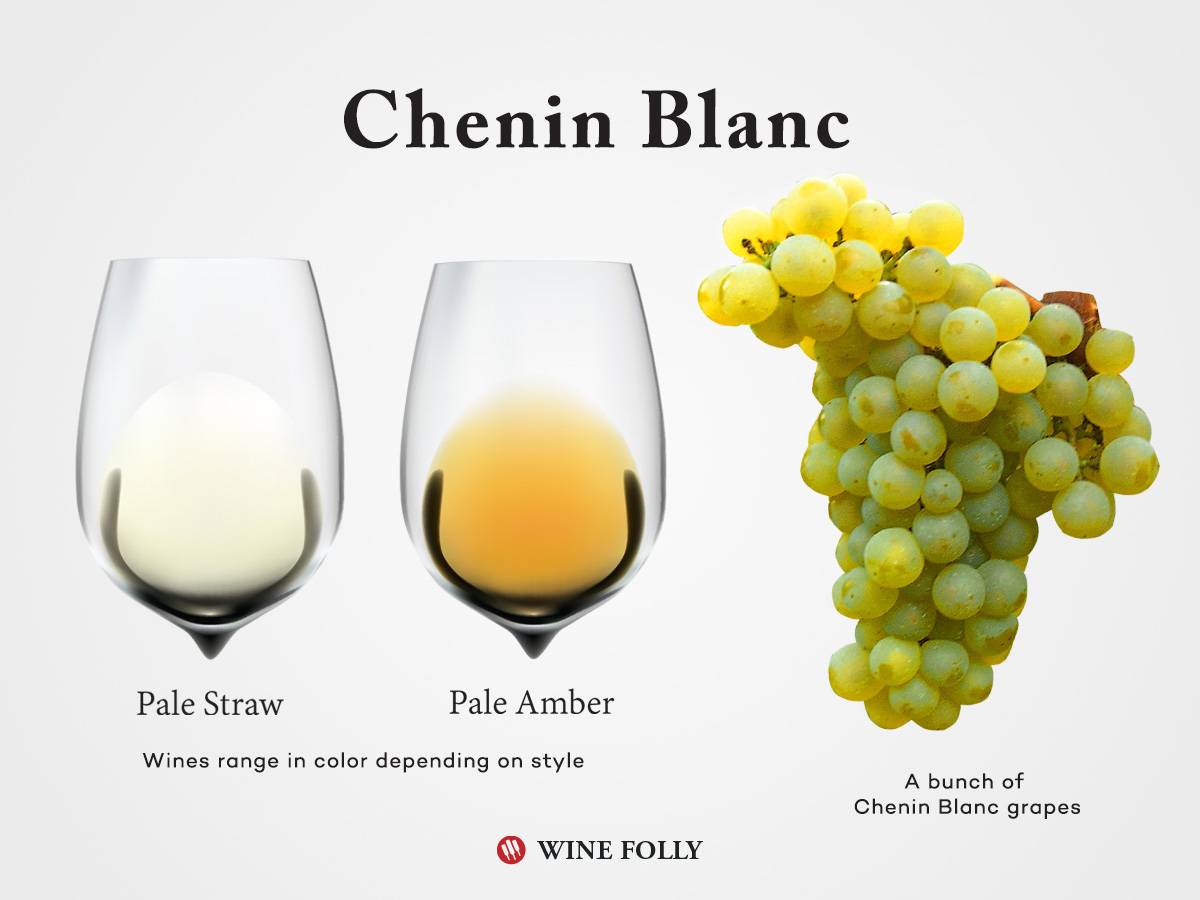 Chenin blanc on sale