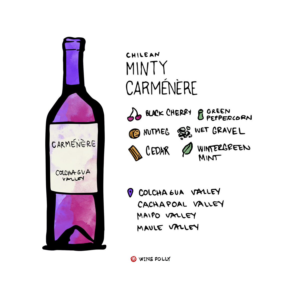 7 Wines From Chile That Will Blow Your Freakin' Mind | Wine Folly