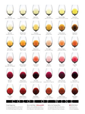 Color of Wine Chart by Wine Folly