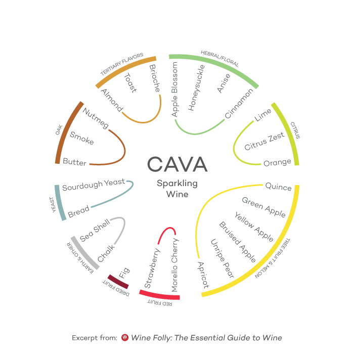 Flavor Profile Cava Sparkling Wine by Wine Folly Book