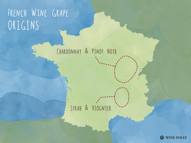 Differences Between Chardonnay and Viognier Wine Folly