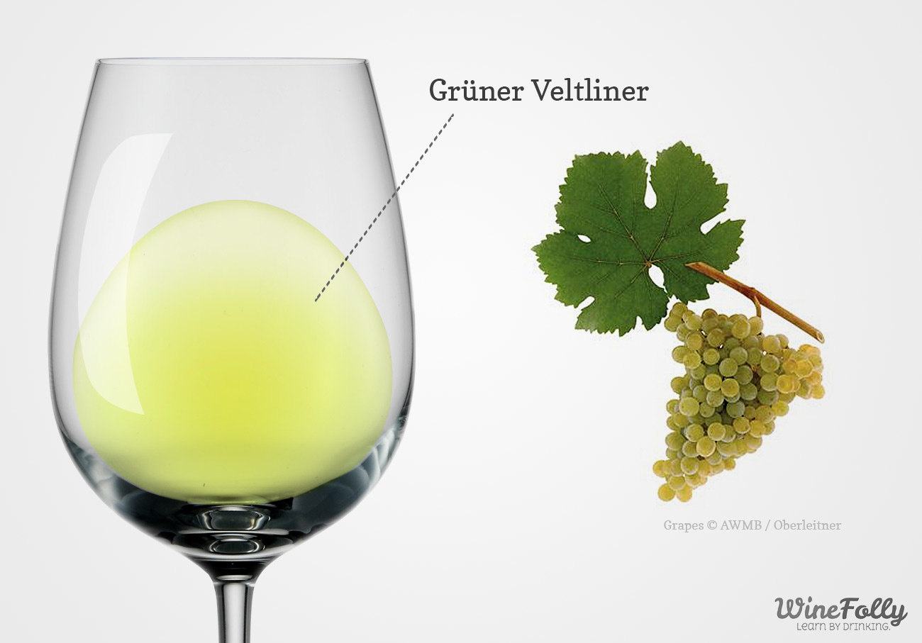 Image result for gruner veltliner