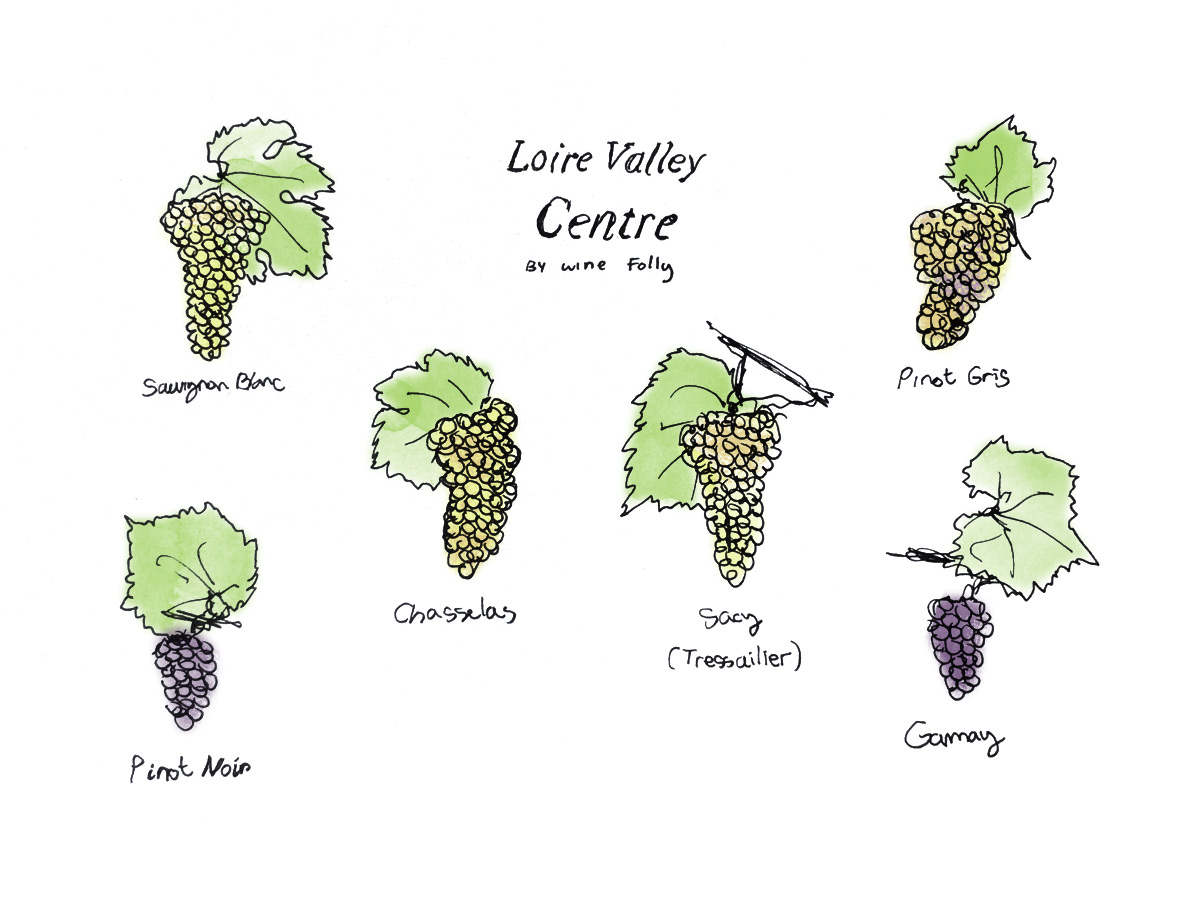 Loire Valley Wine Guide Wine Folly