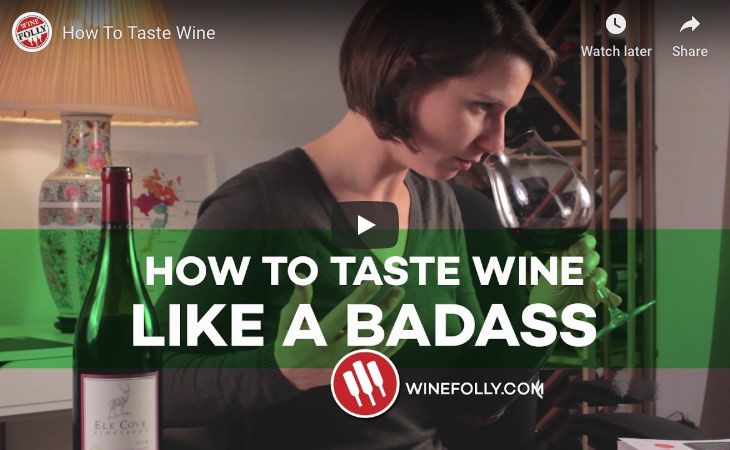 How to Taste Wine: 11 Wine Tasting Tips