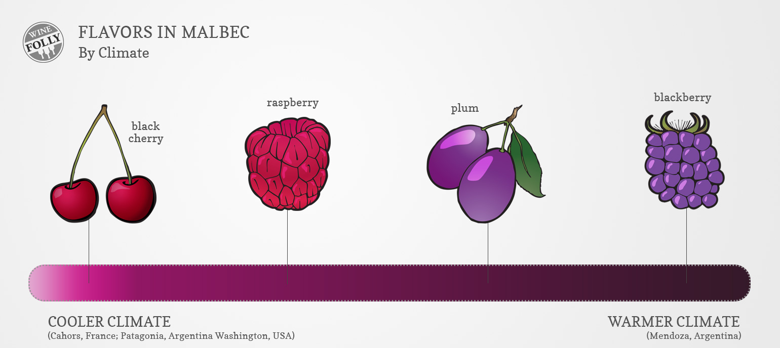 The Ultimate Guide to Wine Flight