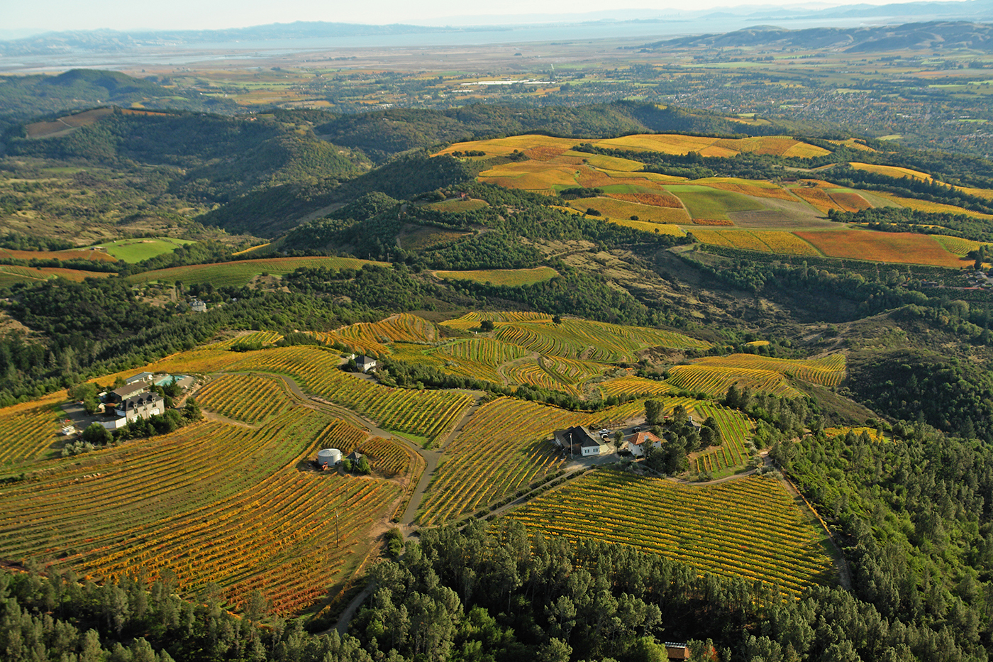 Napa Valley Spring Mountain District