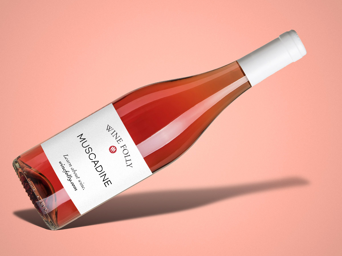 Learn More About Muscadine Wine WineFolly