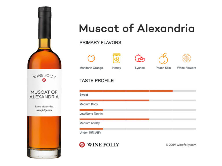 Muscat of Alexandria Bottle and Wine Tasting Notes - Wine Folly