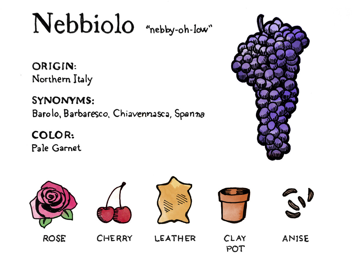 Featured image of post Steps to Make Nebbiolo Grape Wine