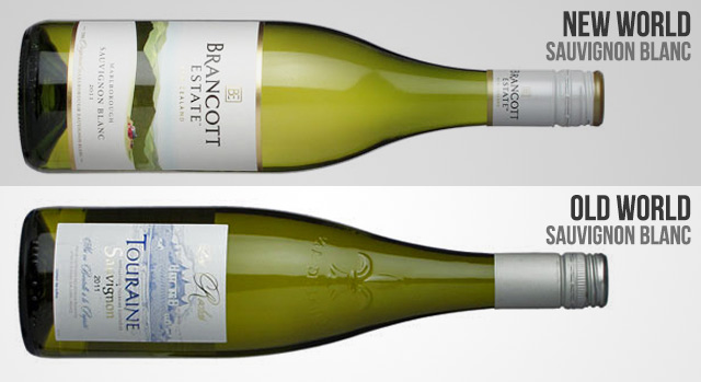 The Comprehensive Guide to Sauvignon Blanc - Well Seasoned Studio