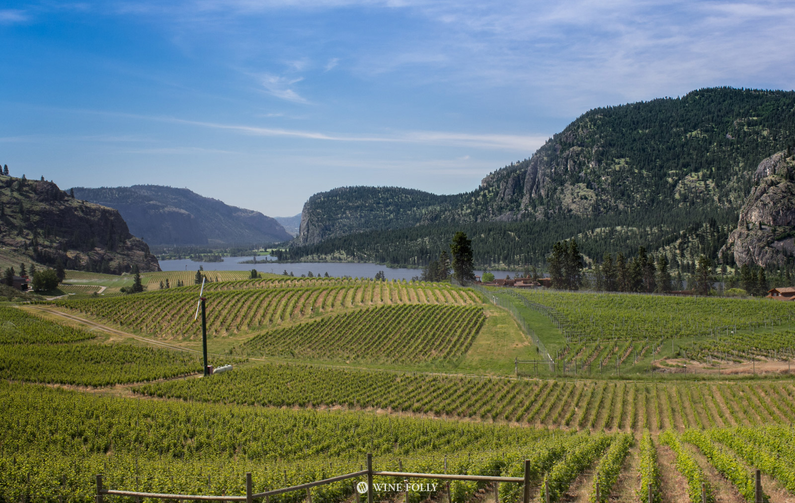 Okanagan wineries shop