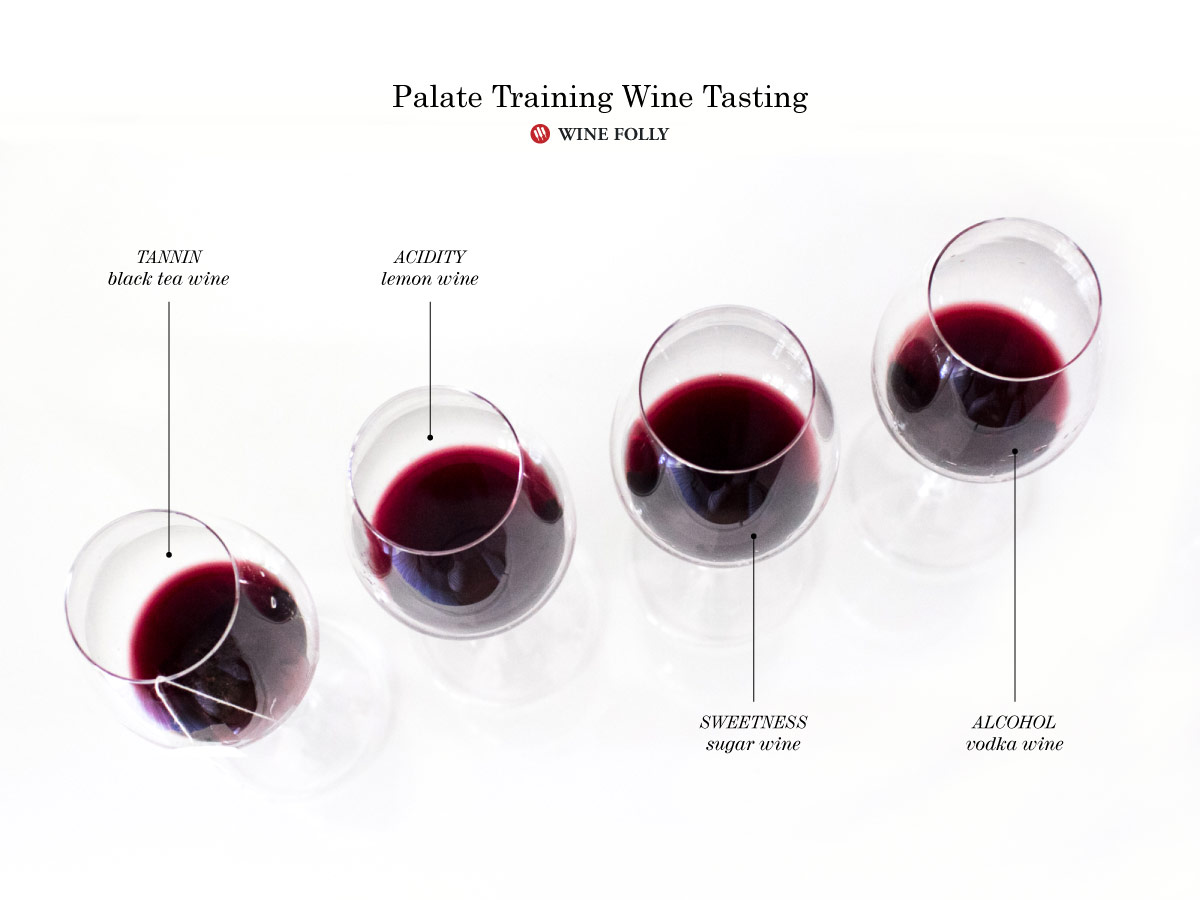 Red wine best sale course