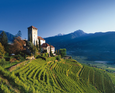 Schloss-Lebenberg-alto-adige-italian-pinot-grigio