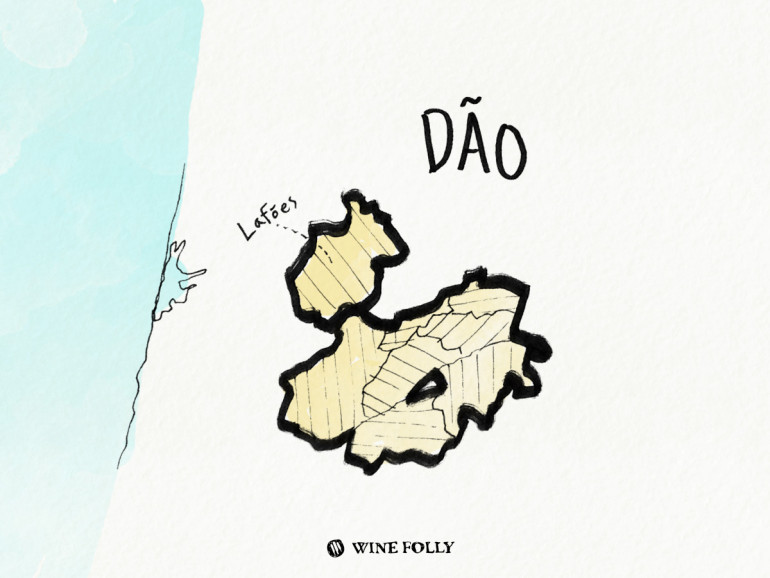 Portugal-illustrations-dao-wine-region