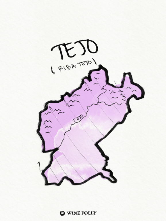 Portugal-illustrations-tejo-wine-region