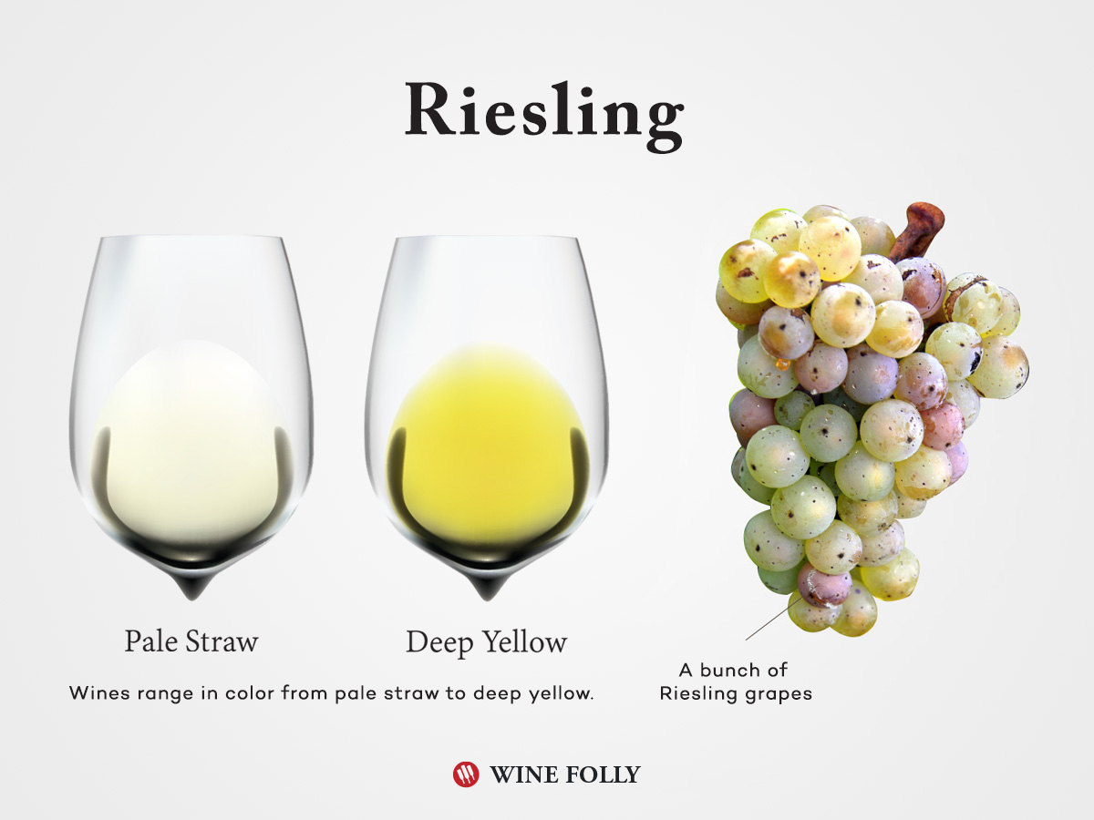 The Essential Guide to Riesling Wine Wine Folly