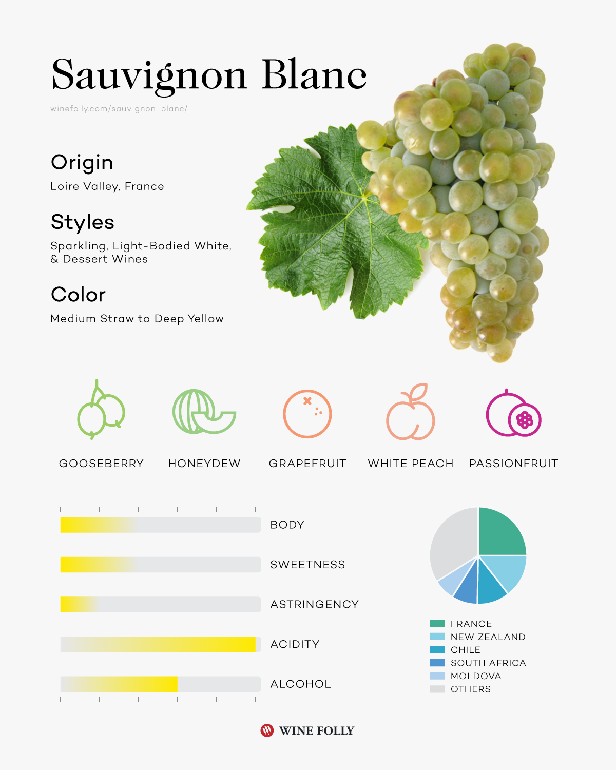 sauvignon-blanc-wine-folly