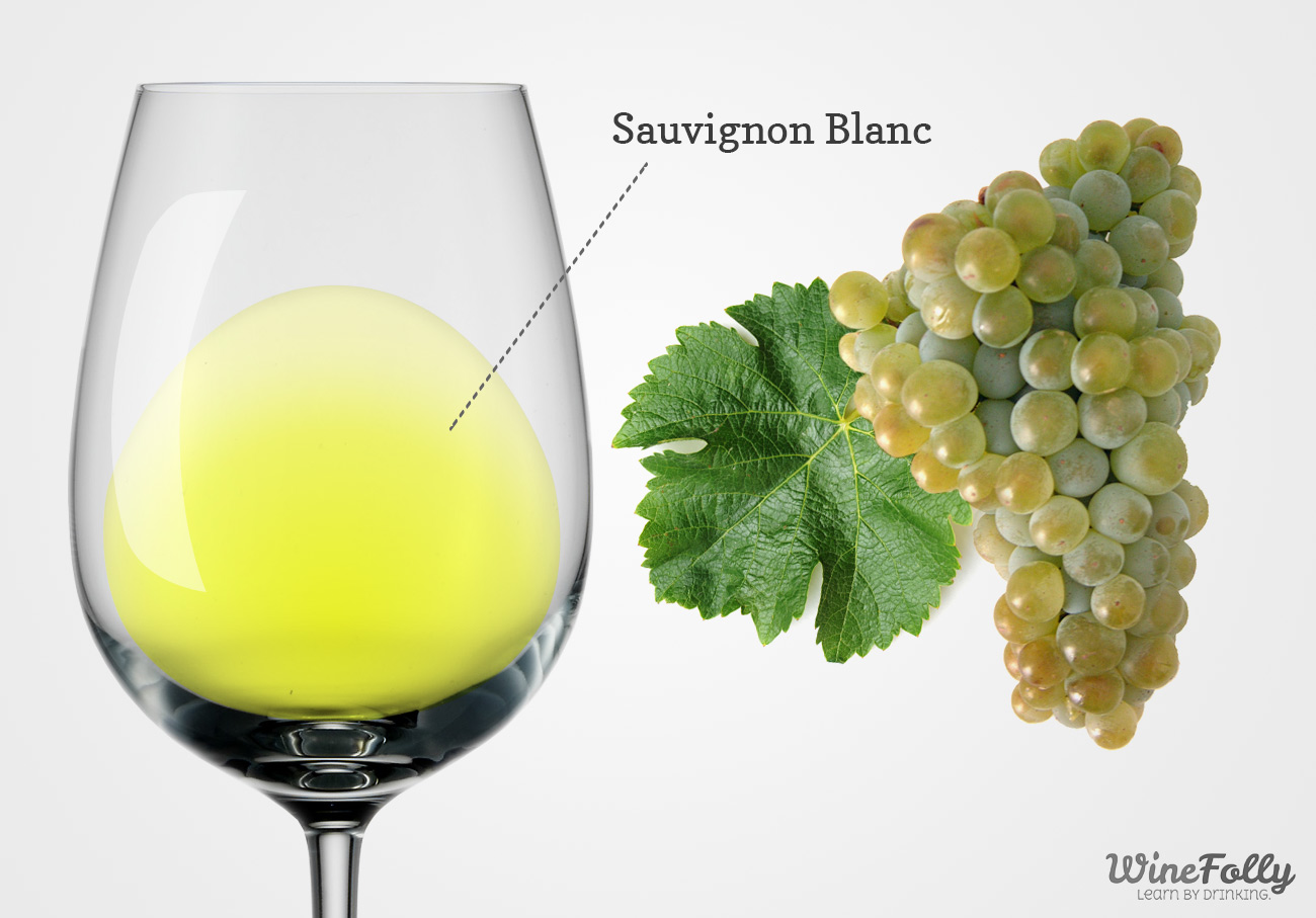 https://media.winefolly.com/Sauvignon-blanc-wine-and-grapes.jpg