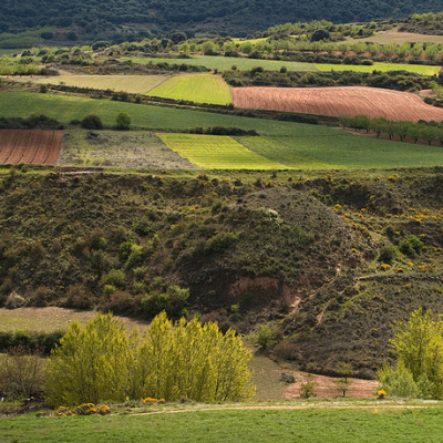 Valle de Jubera