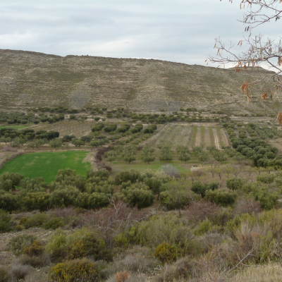 Valle de Alhama