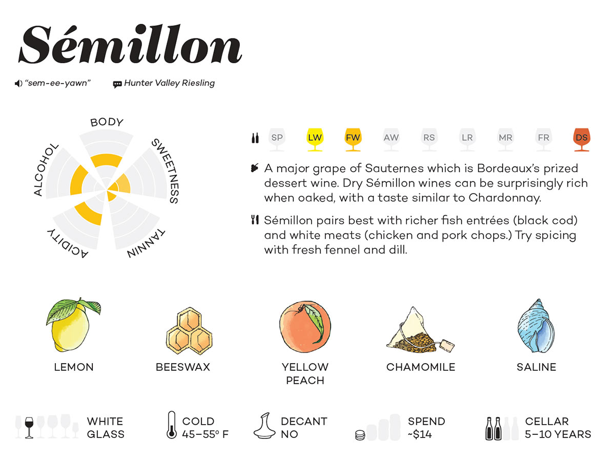 Sémillon Grape Page from The Master Guide