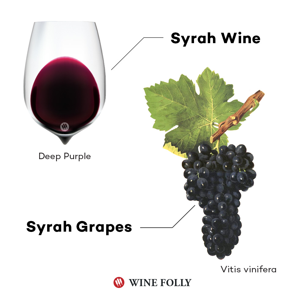 Syrah Grapes