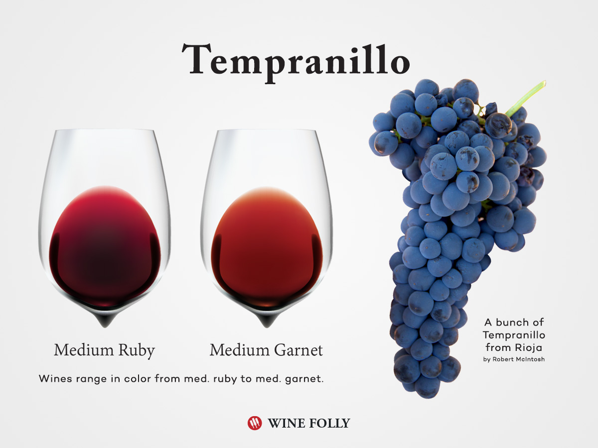 Tempranillo Wine Profile Wine Folly