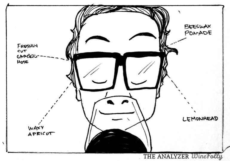 The Analyzer of Wine Comic